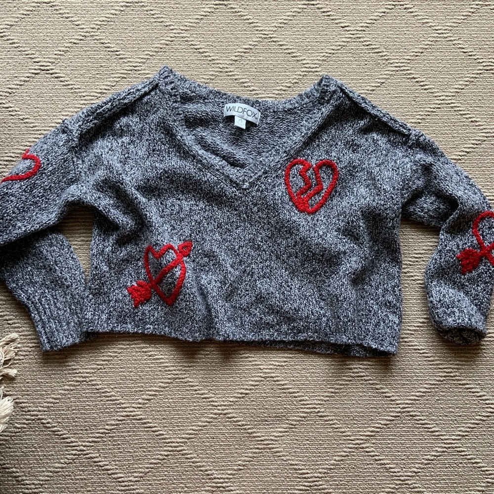 Wildfox sweater